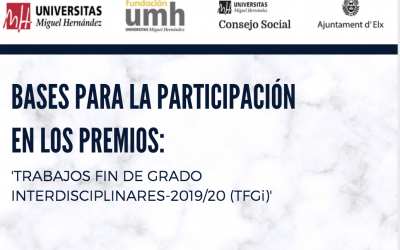 Bases para la participación en los premios: ‘Trabajos Fin de Grado interdisciplinares-2019/20 (TFGi)’